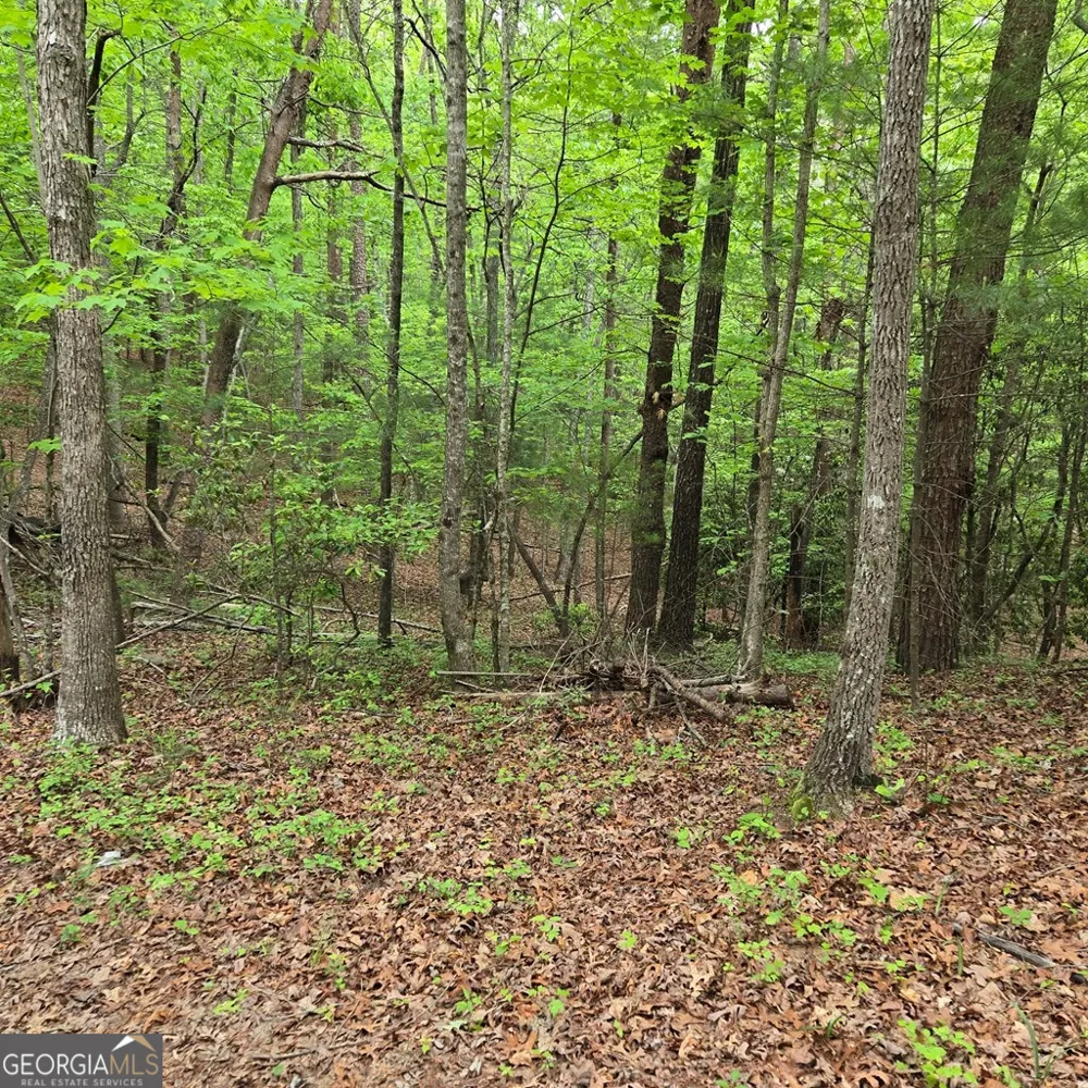 3.5ACRE Dusty TRL Morganton, GA 30560