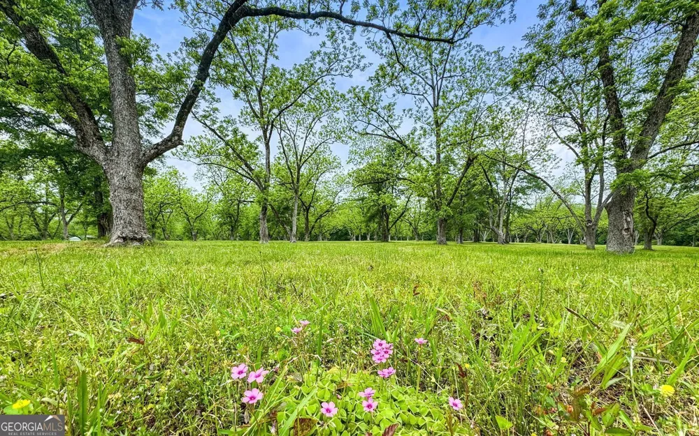117 Zebulon ST Milner, GA 30257