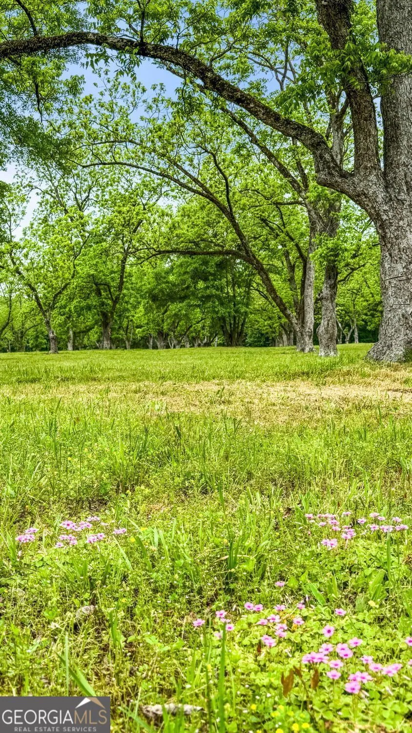 117 Zebulon ST Milner, GA 30257