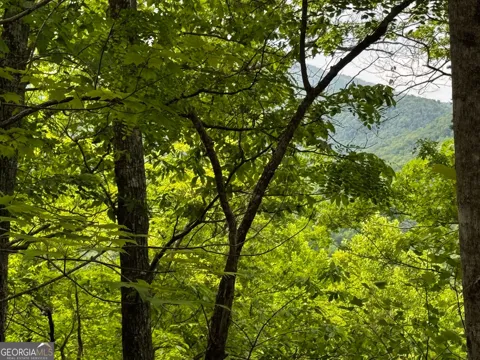 #6 Pounding Mill Overlook