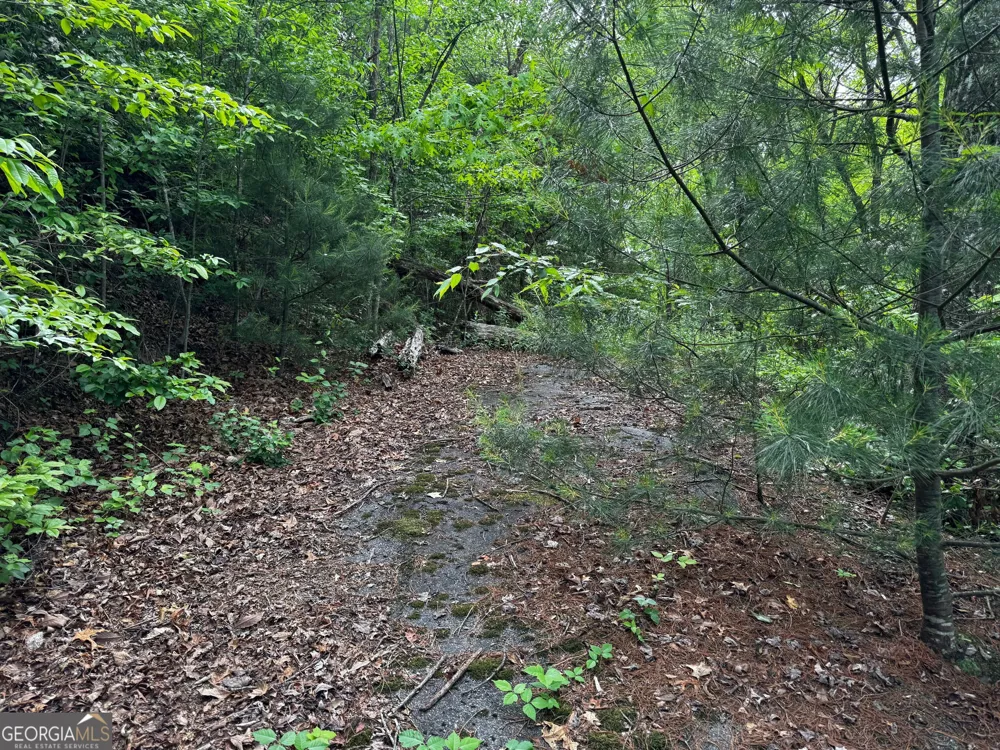 #6 Pounding Mill Overlook Hayesville, NC 28904