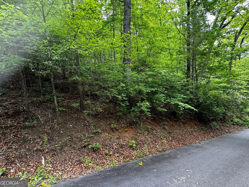 #6 Pounding Mill Overlook Hayesville, NC 28904