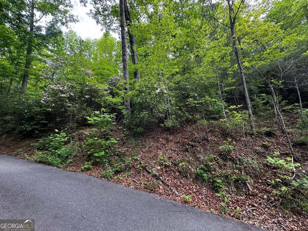 #6 Pounding Mill Overlook Hayesville, NC 28904