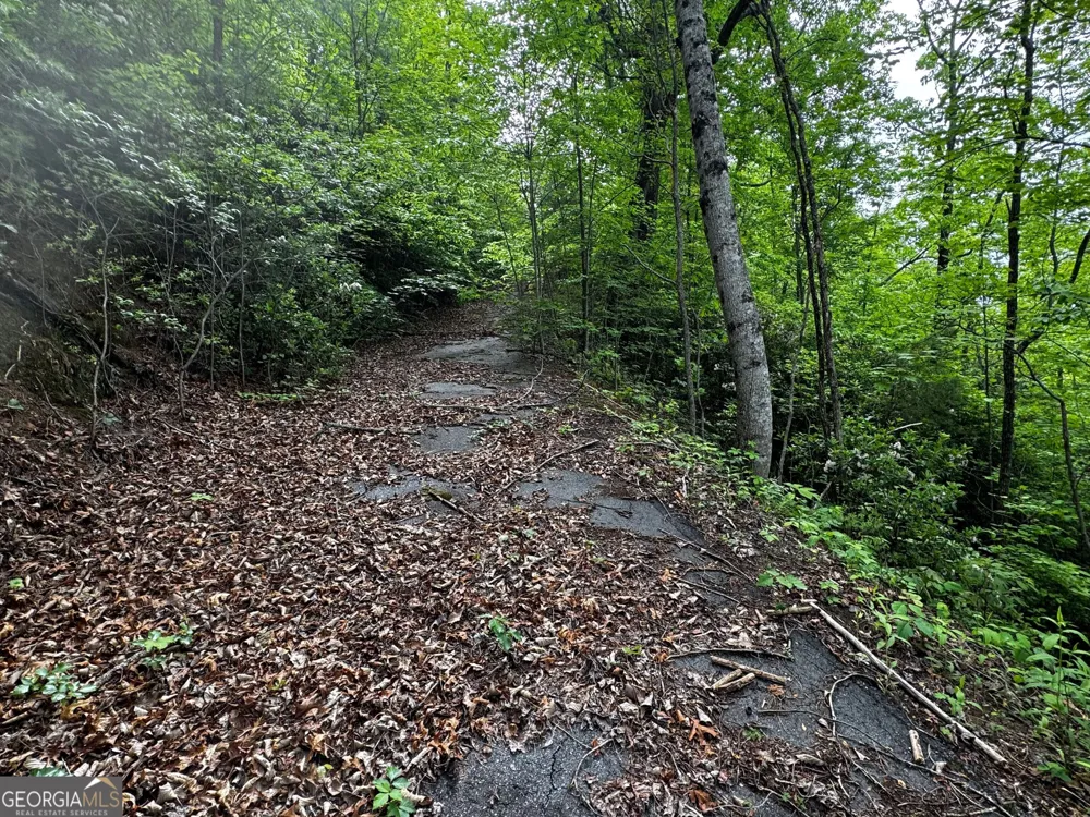#6 Pounding Mill Overlook Hayesville, NC 28904