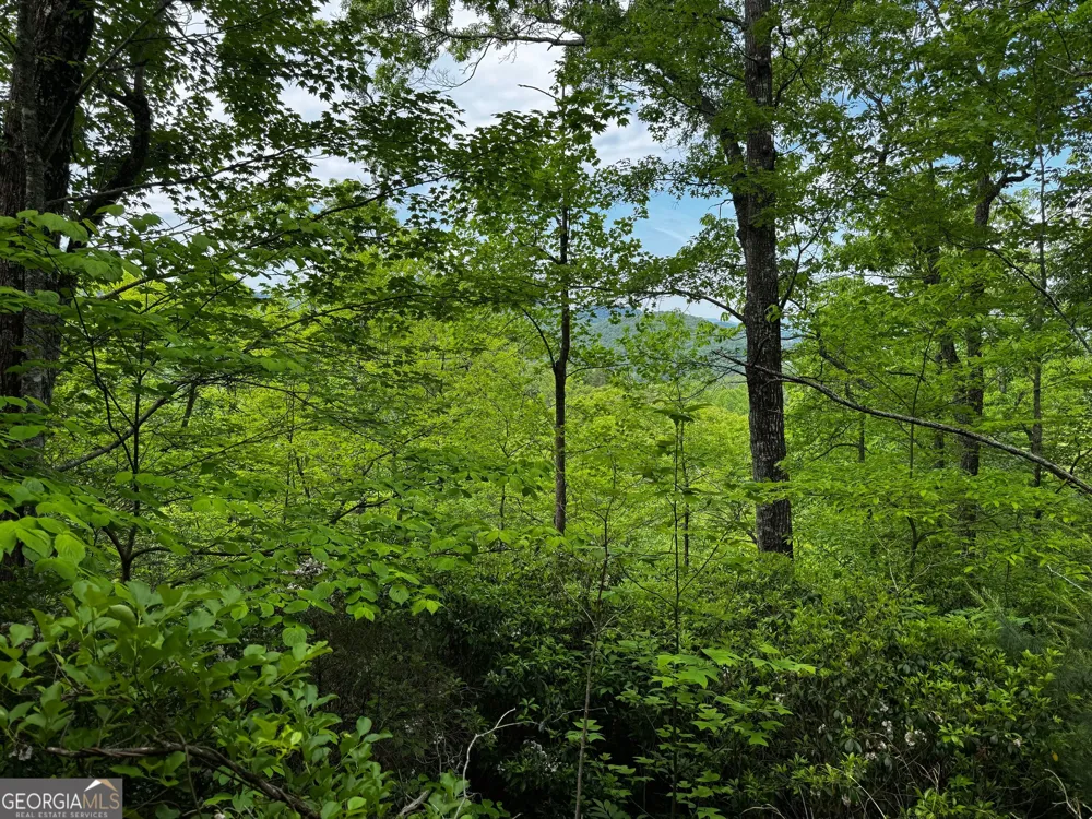 #6 Pounding Mill Overlook Hayesville, NC 28904