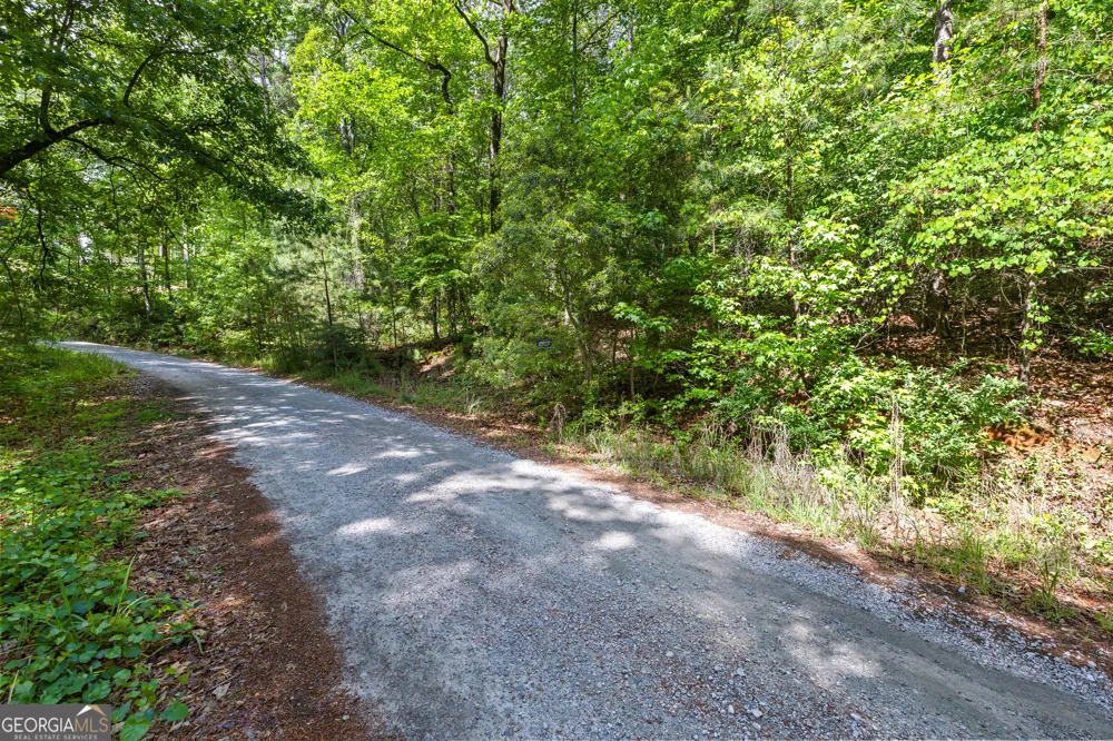 721 Rausch RDG Chattahoochee Hills, GA 30268