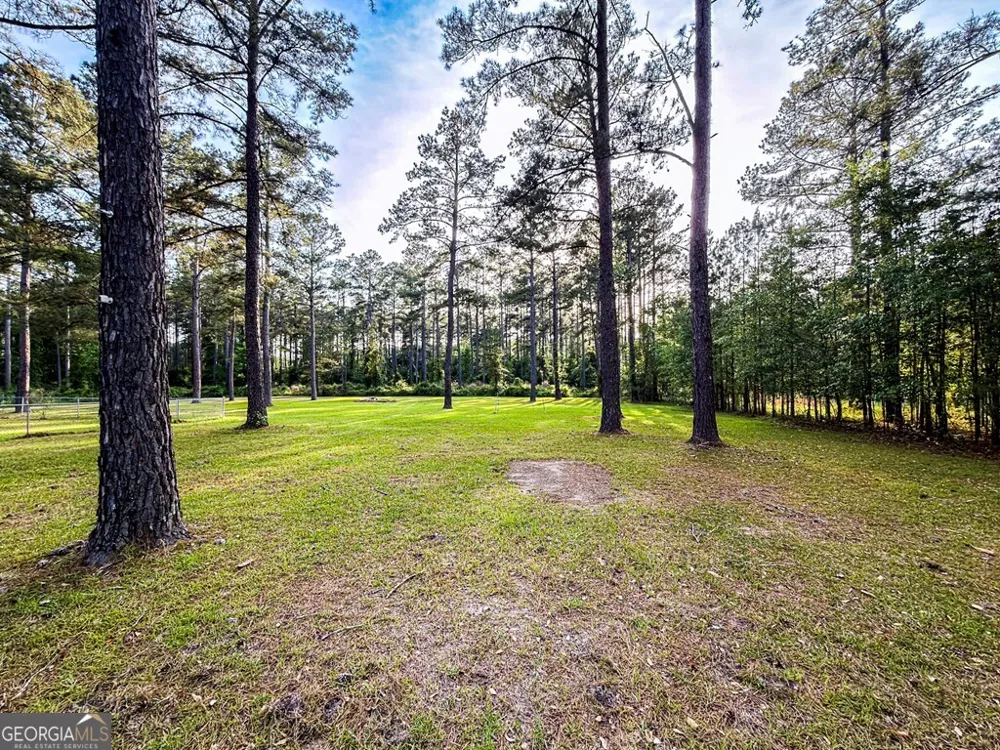 353 Alapaha River DR Alapaha, GA 31622