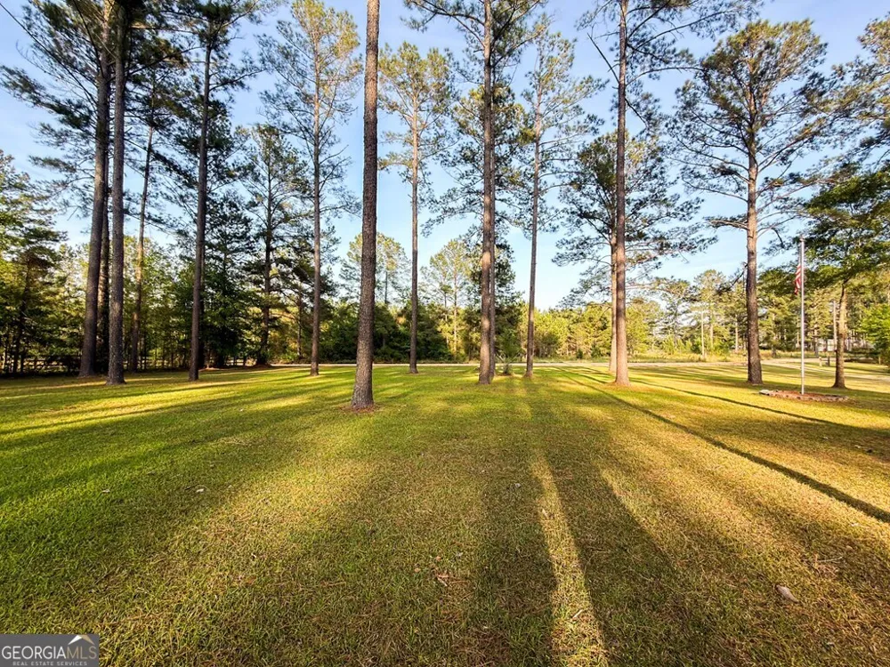 353 Alapaha River DR Alapaha, GA 31622