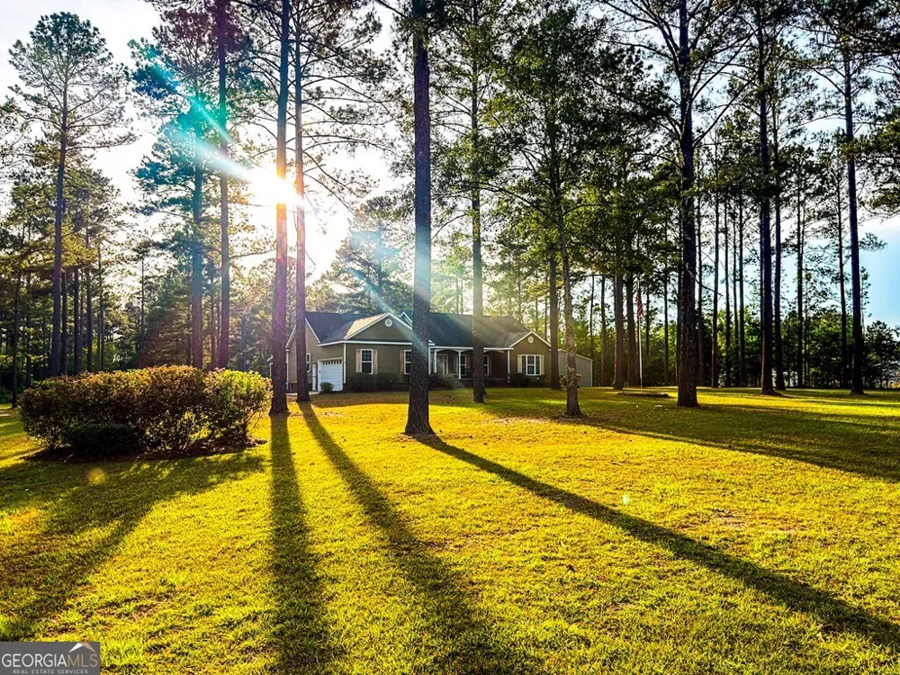 353 Alapaha River DR Alapaha, GA 31622