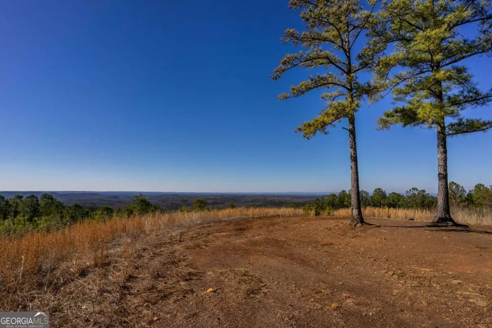 825 Young LOOP Fairmount, GA 30139