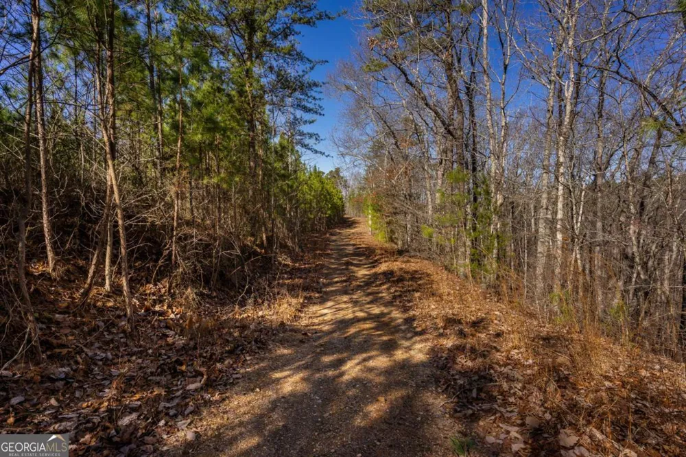 825 Young LOOP Fairmount, GA 30139