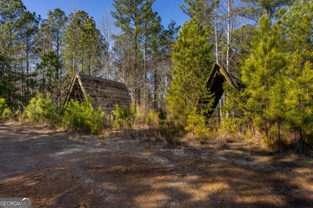 825 Young LOOP Fairmount, GA 30139