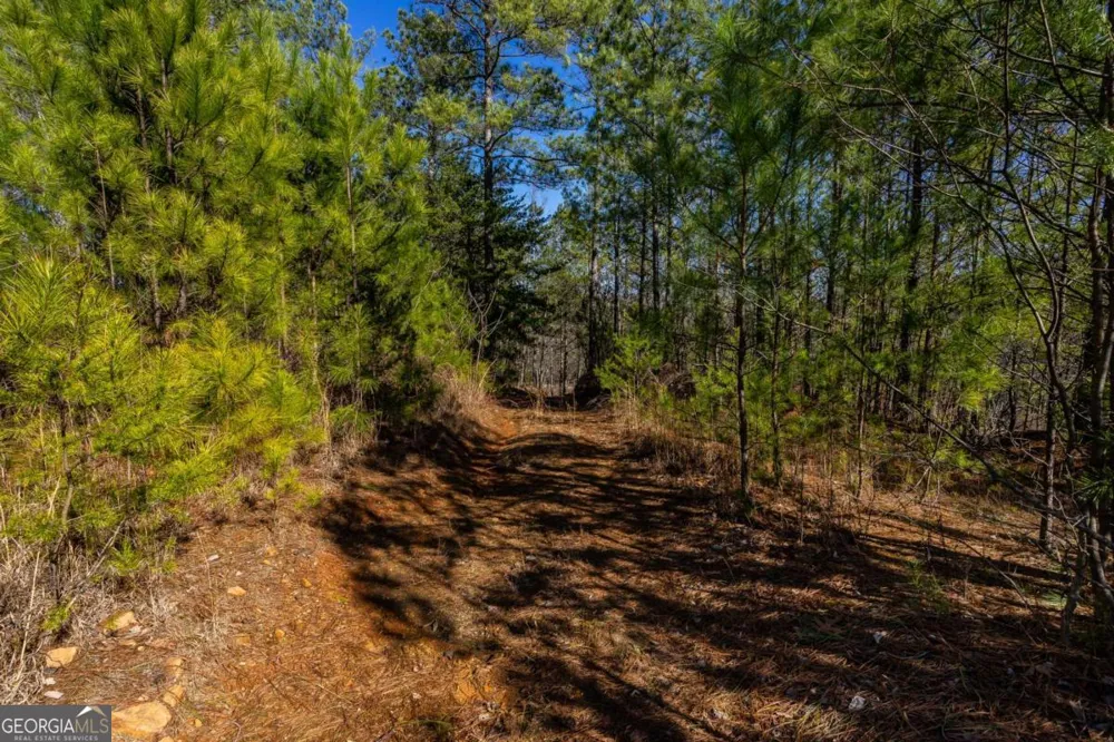 825 Young LOOP Fairmount, GA 30139