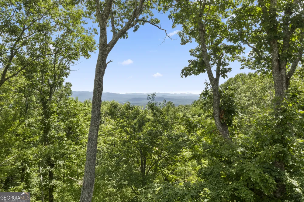 62 Bear Cub RDG Big Canoe, GA 30143