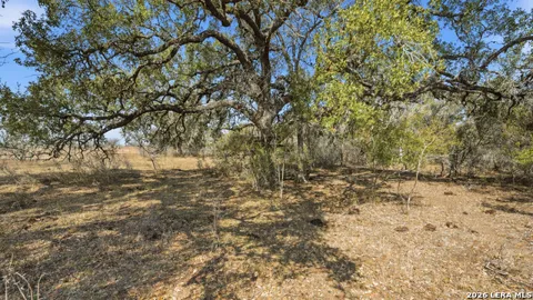 TBD Hohn Road