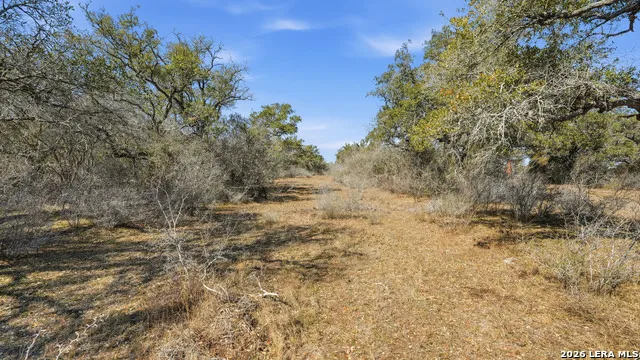 TBD Hohn Road Nordheim, TX 78141