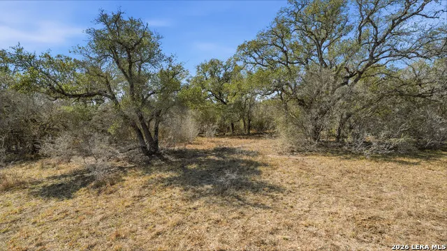 TBD Hohn Road Nordheim, TX 78141