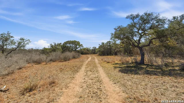 TBD Hohn Road Nordheim, TX 78141