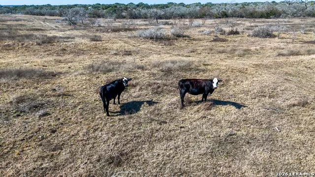 TBD Hohn Road Nordheim, TX 78141
