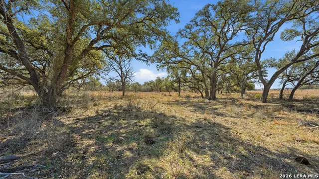 TBD Hohn Road Nordheim, TX 78141