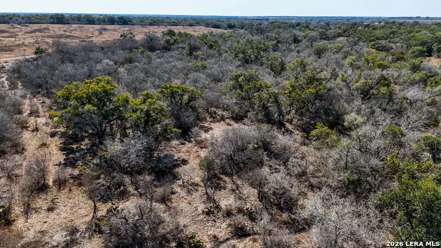 TBD Hohn Road Nordheim, TX 78141