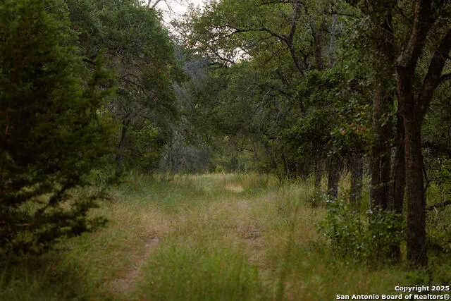 3067 Ranch Road 1888 Blanco, TX 78606