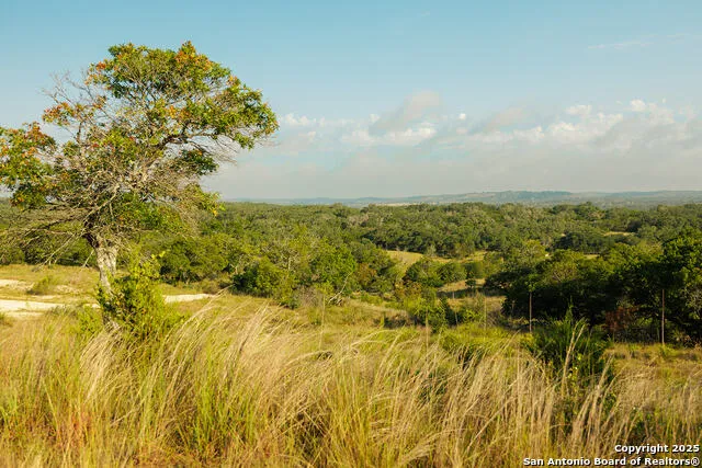 3067 Ranch Road 1888 Blanco, TX 78606