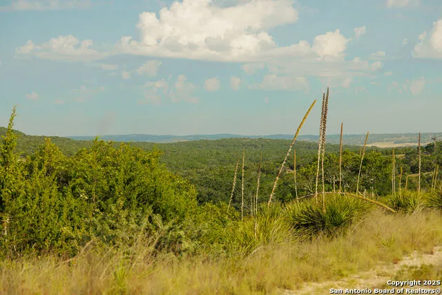 3067 Ranch Road 1888 Blanco, TX 78606