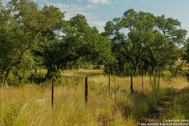 3067 Ranch Road 1888 Blanco, TX 78606