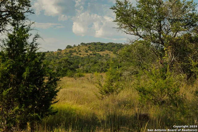 3067 Ranch Road 1888 Blanco, TX 78606