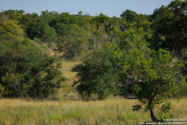 3067 Ranch Road 1888 Blanco, TX 78606