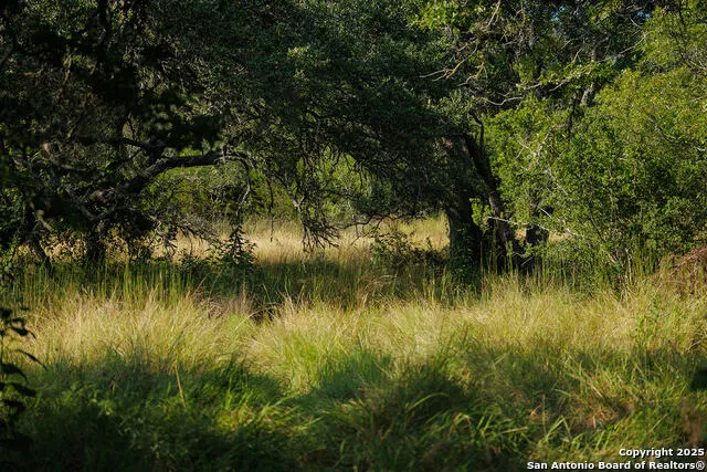 3067 Ranch Road 1888 Blanco, TX 78606