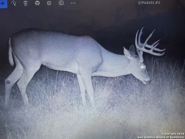 235 W Cambridge Rd Wimberley, TX 78676
