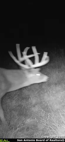 235 W Cambridge Rd Wimberley, TX 78676
