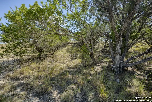 305 Spanish Pass Boerne, TX 78006
