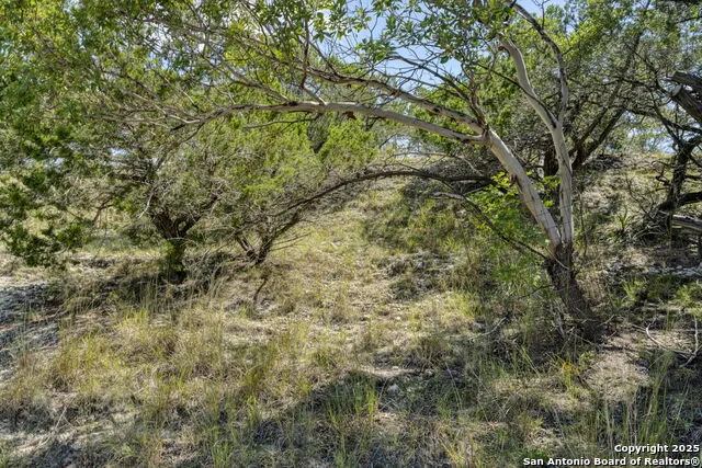 305 Spanish Pass Boerne, TX 78006