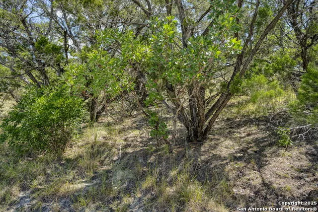 305 Spanish Pass Boerne, TX 78006