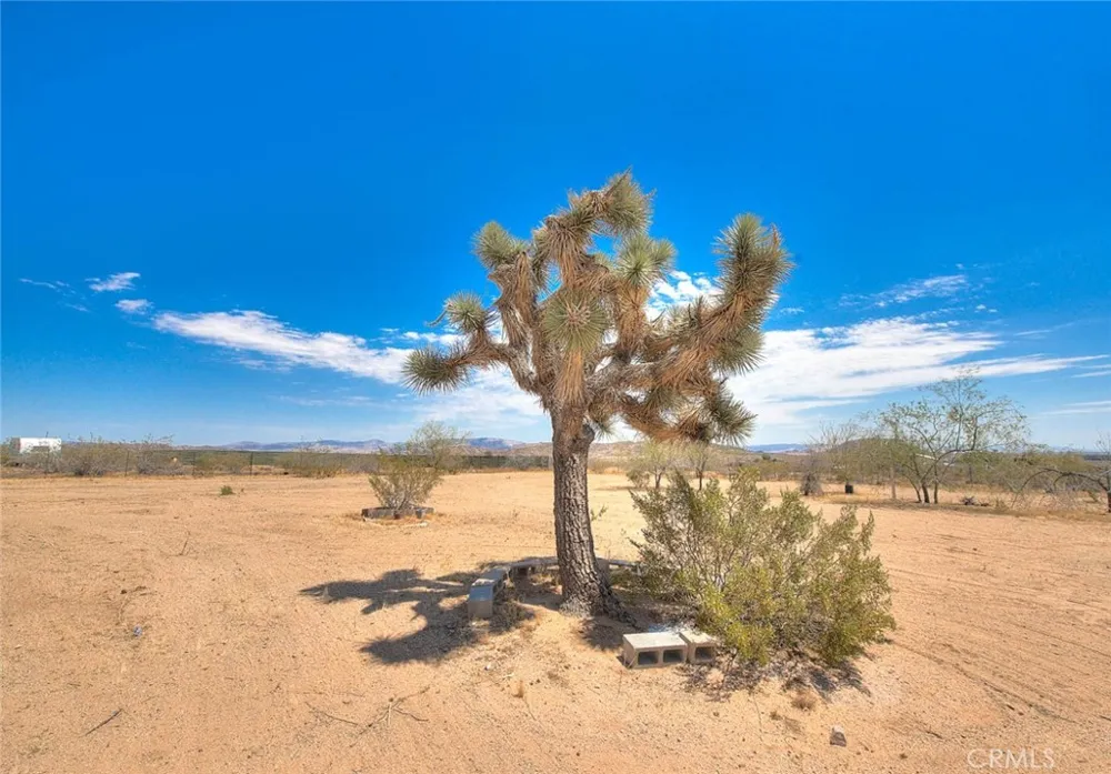 55525 Ornelas Lane Landers, CA 92285