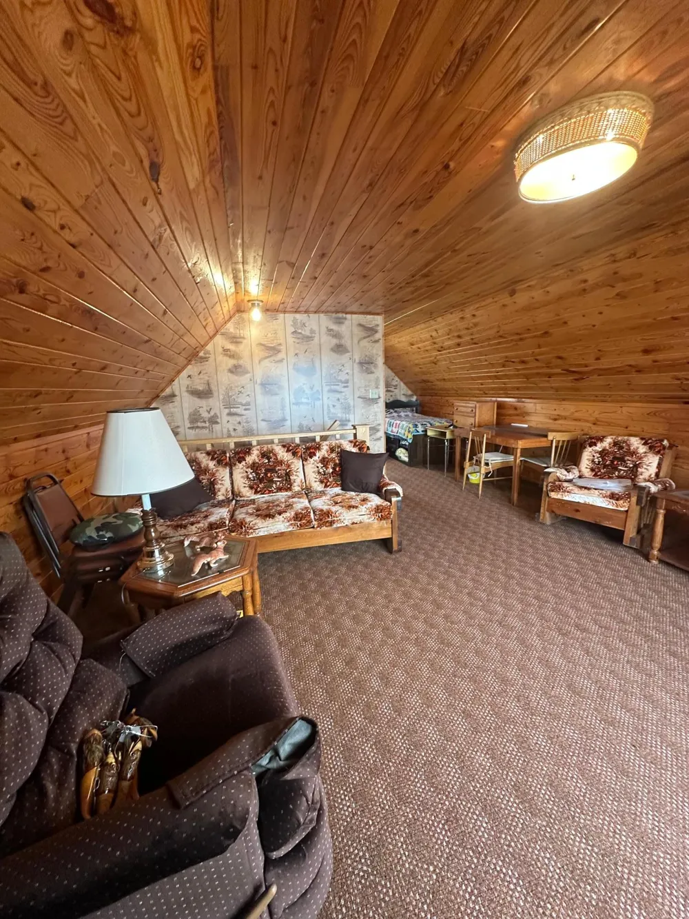 17413 E Pine Drive NW Angle Inlet, MN 56711