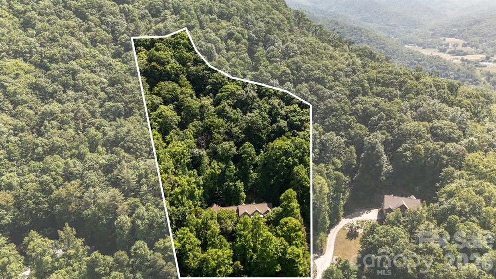 60 Hawks Pointe Lane Weaverville, NC 28787