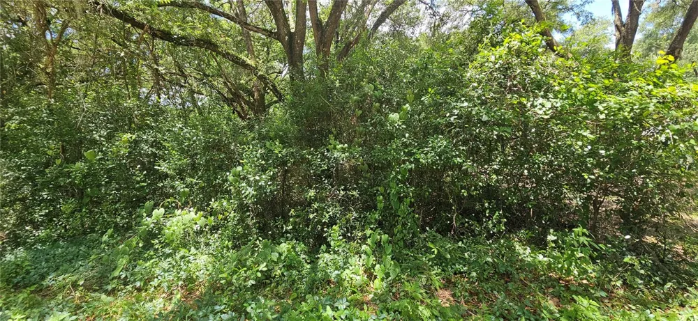 SE 27TH COURT Summerfield, FL 34491
