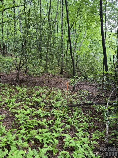 Lot 68 Cherrywood Lane