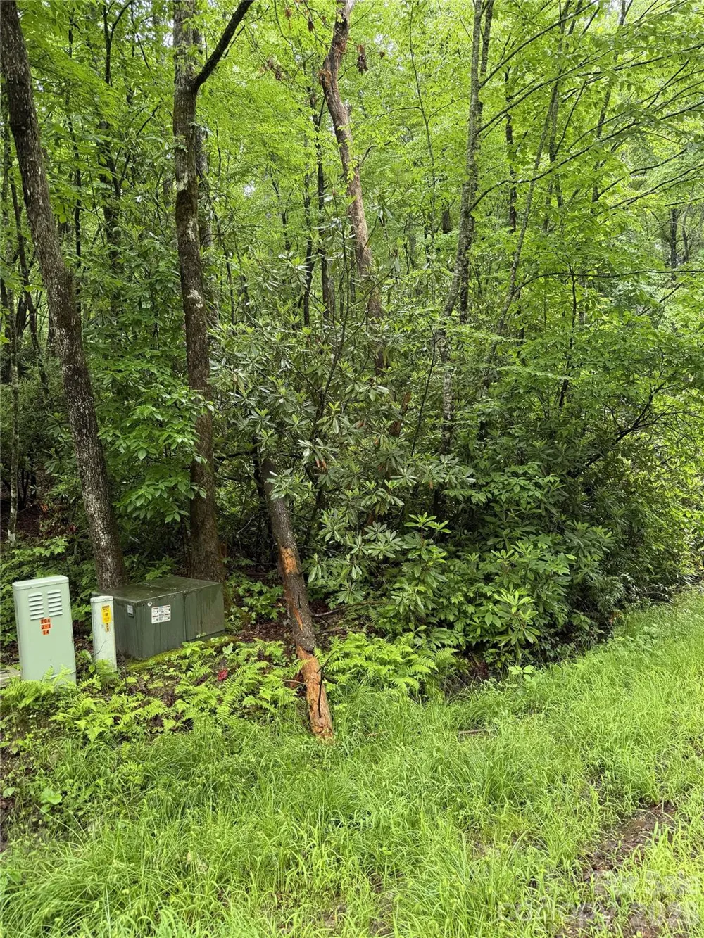 Lot 68 Cherrywood Lane Pisgah Forest, NC 28768