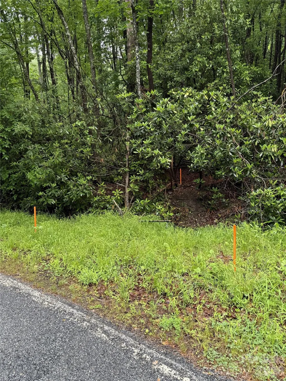 Lot 68 Cherrywood Lane Pisgah Forest, NC 28768