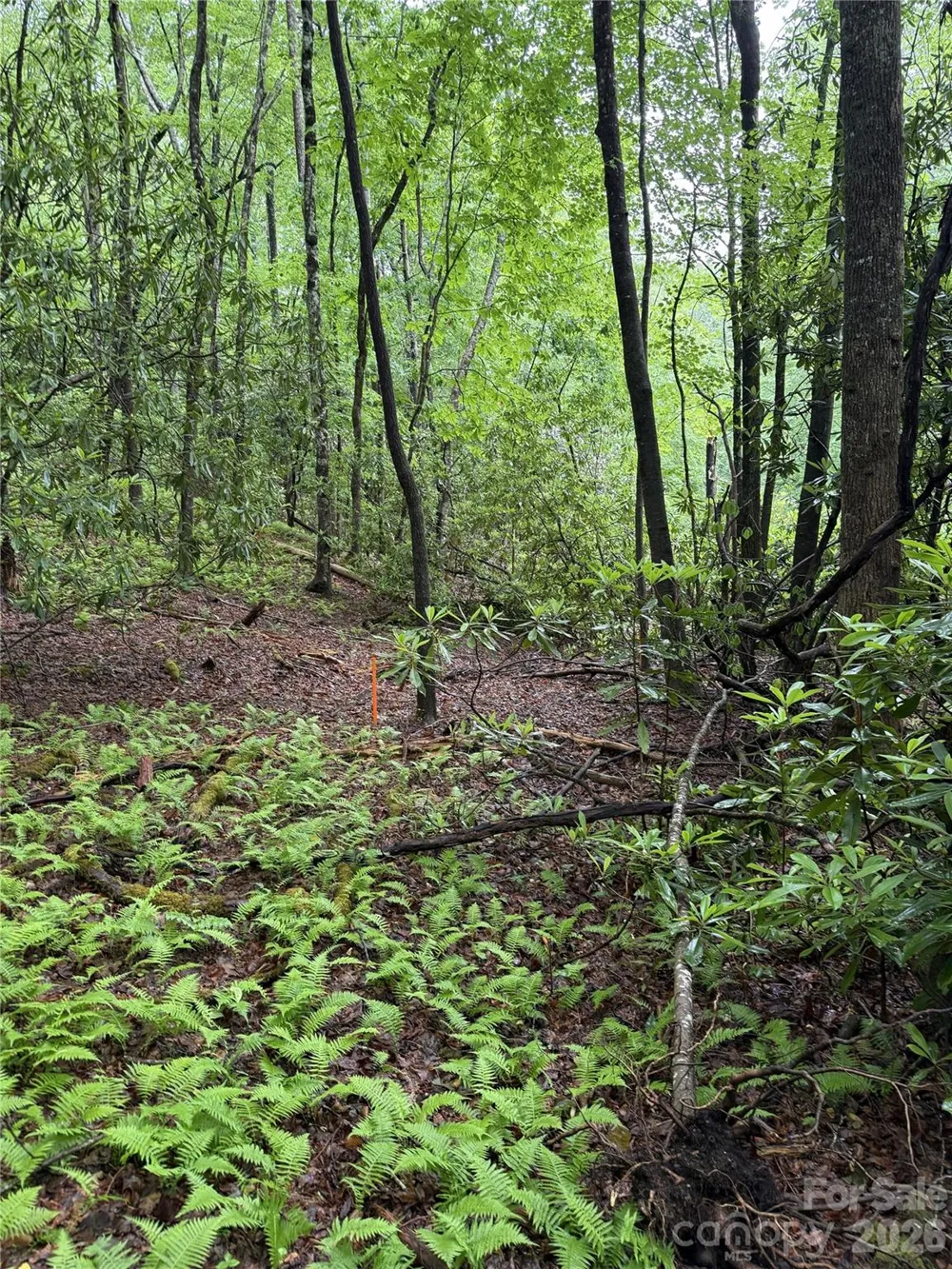 Lot 68 Cherrywood Lane Pisgah Forest, NC 28768
