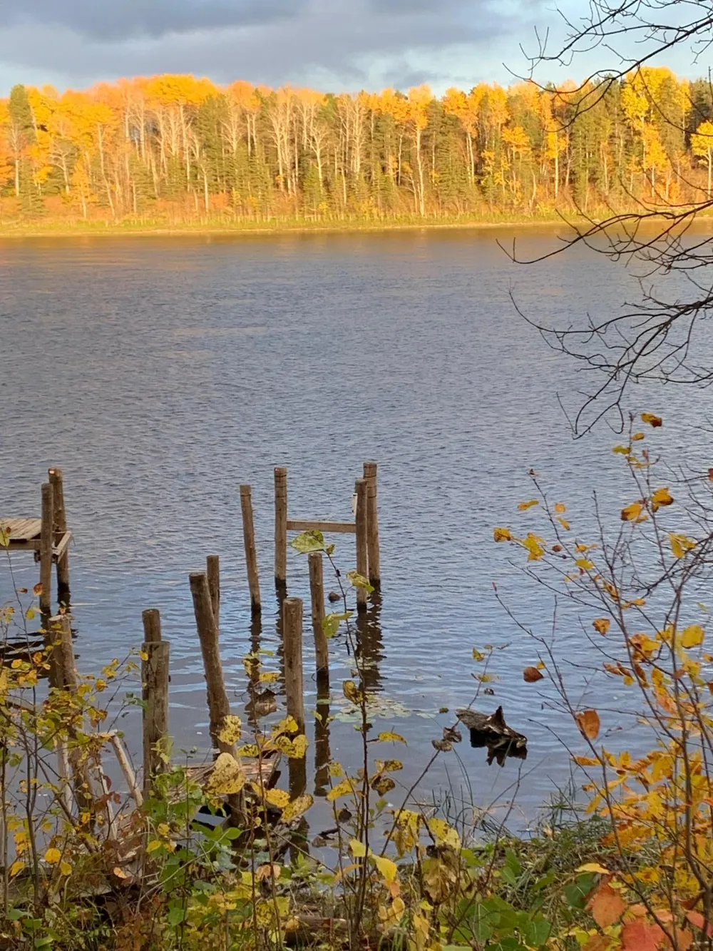 11777 State Highway 11 SE Baudette, MN 56623
