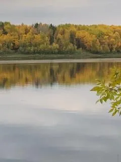 11777 State Highway 11 SE Baudette, MN 56623