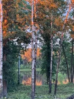 11777 State Highway 11 SE Baudette, MN 56623