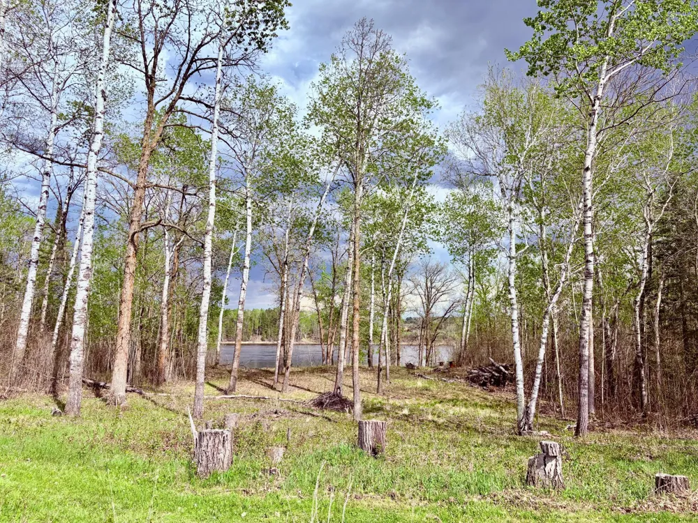 11777 State Highway 11 SE Baudette, MN 56623