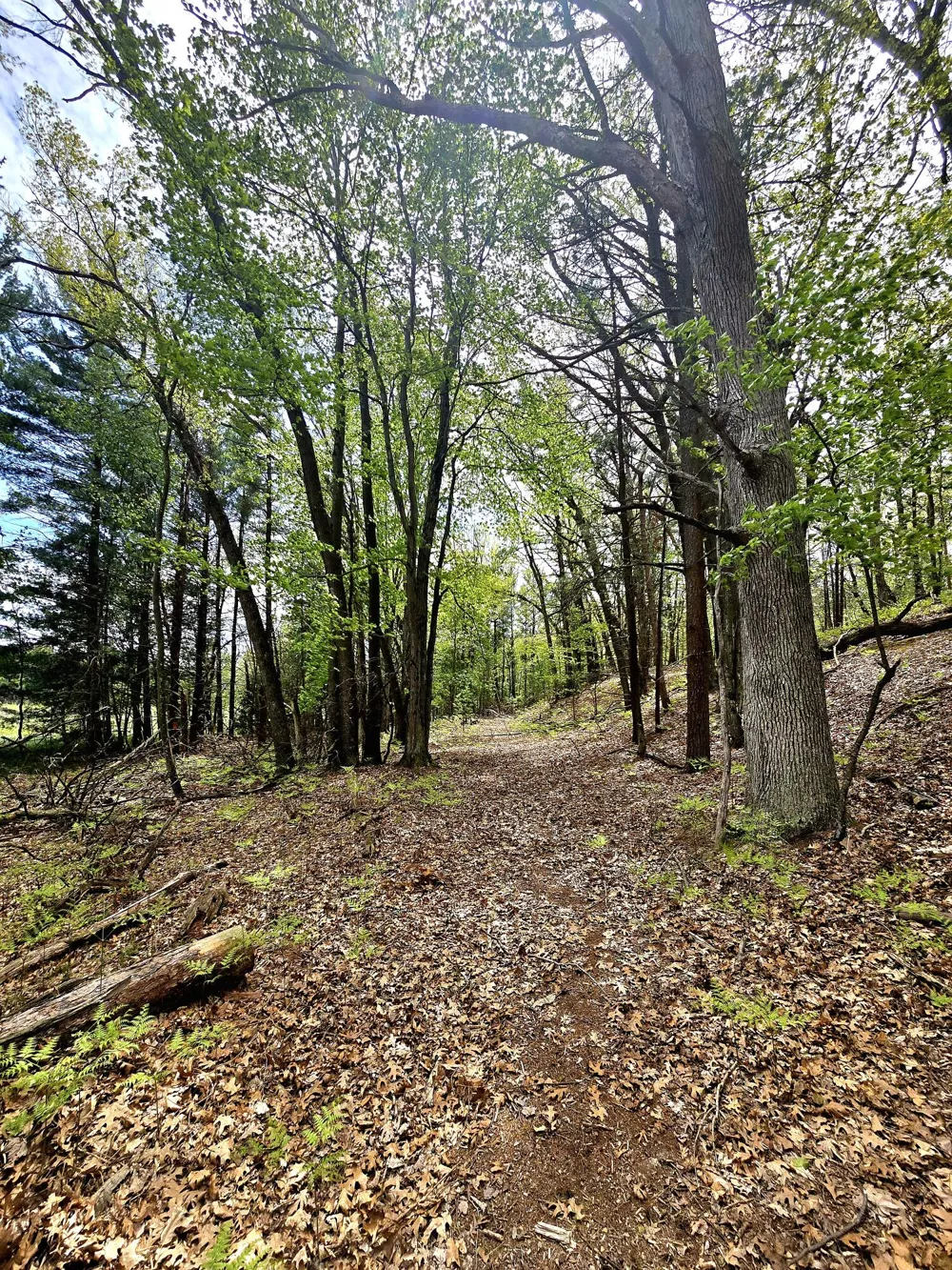 Topping Ave Pentwater, MI 49449